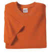 MS05 Texas Orange.jpg (18279 bytes)